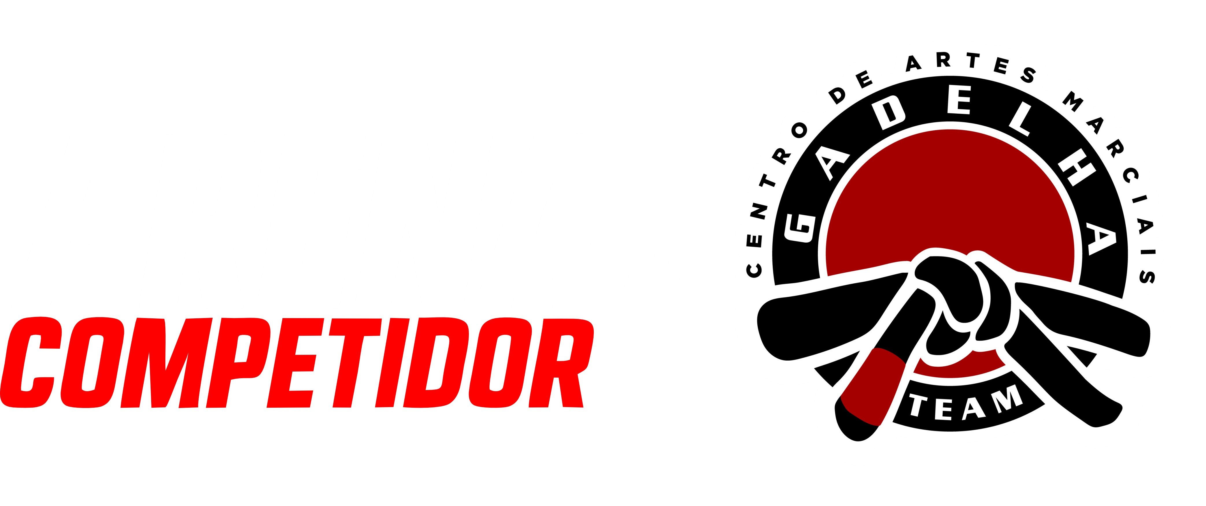 Gadelha Team - Centro de Artes Marciais