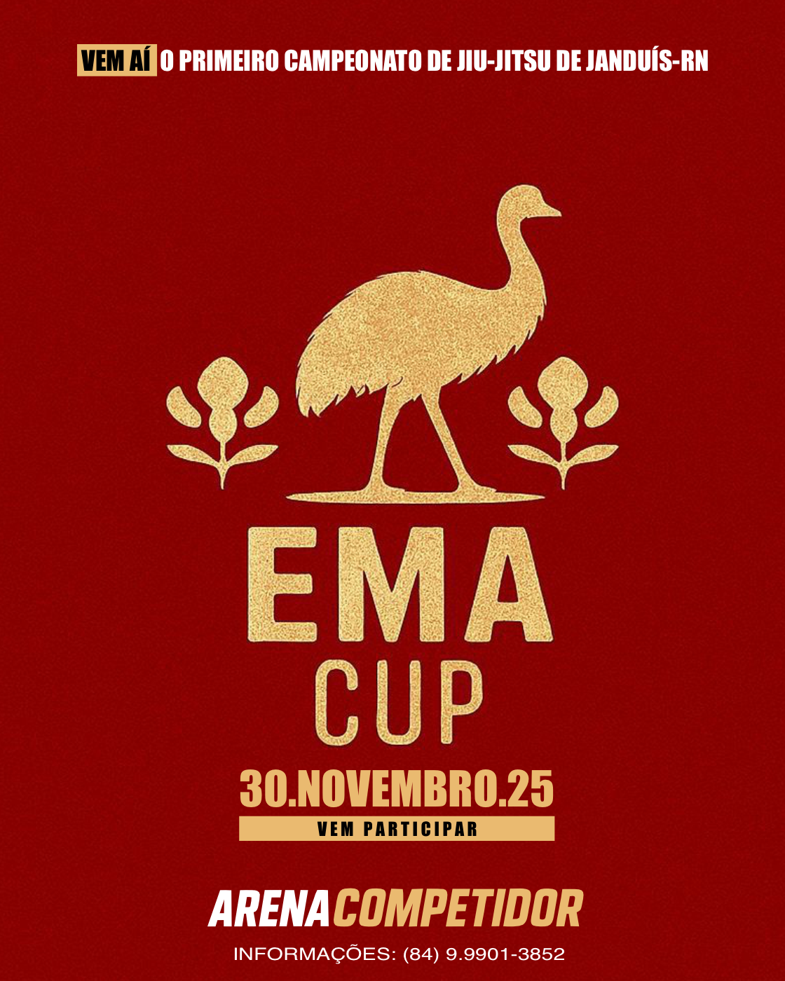 Banner do EMA CUP JANDUIS